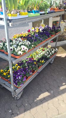 Blumenhaus Sparr