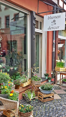 Blumen Denzer