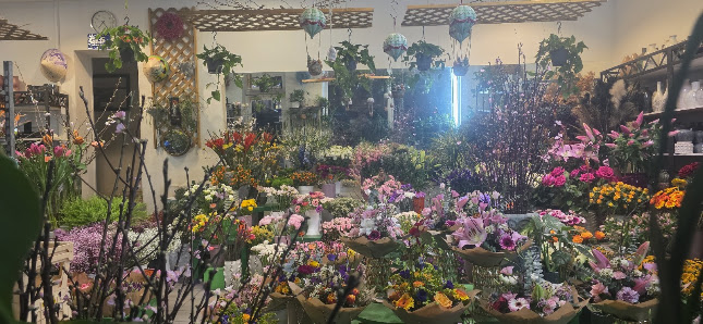 Blumen Welt