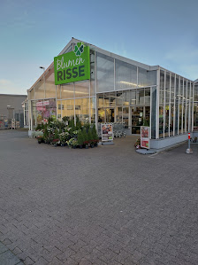 Blumen Risse Blumenmarkt Raunheim
