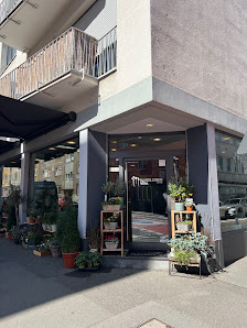 Blumen Studio Wenk