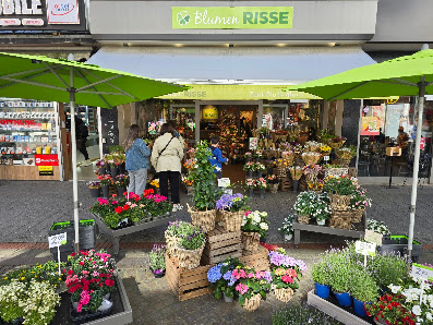Blumen Risse Blumenladen Gelsenkirchen-Innenstadt