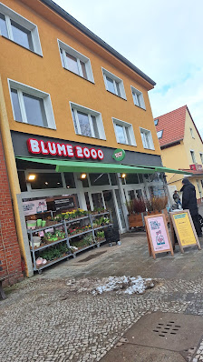 BLUME2000 Berlin Alt Rudow