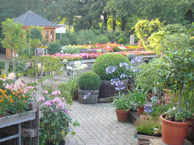 Blumen Wolter Friedhofsgärtnerei