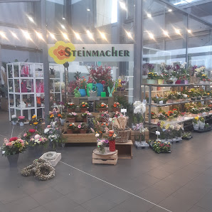 Steinmacher
