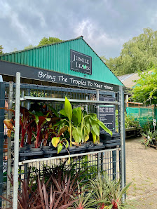 Jungle Leaves