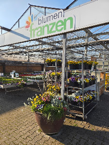 Blumen Franzen