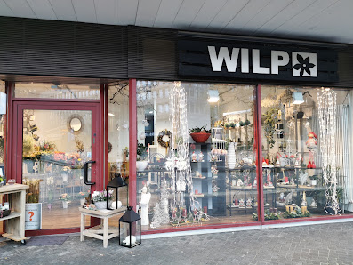 Wilp-Floristik Gelsenkirchen