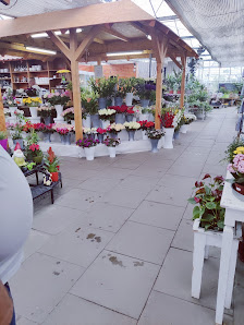 Gartenbaucentrum Cremlingen