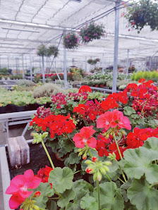 Gartenbaucentrum Cremlingen