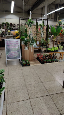 Garten-Center Nordharz GmbH & Co. KG
