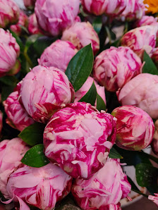 Blumen Rita