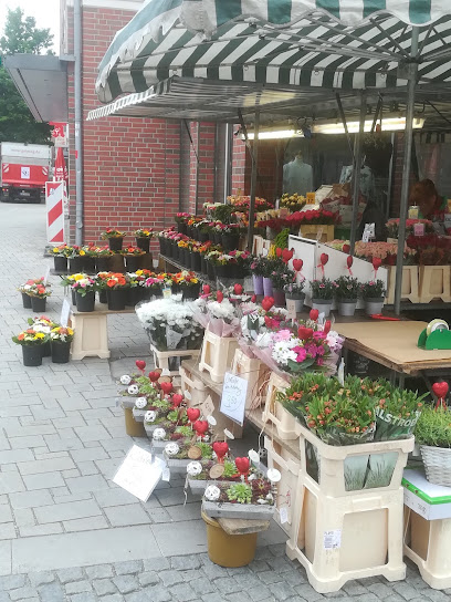 Blumen Rita