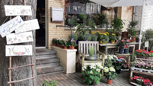 Blumenmanufaktur Querum