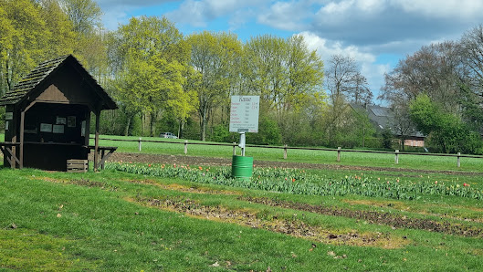 Blumen selbstpflücken