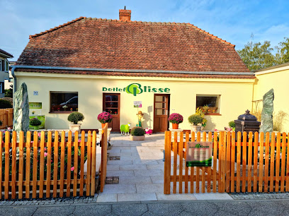 Detlef Blisse Garten- und Landschaftsbau