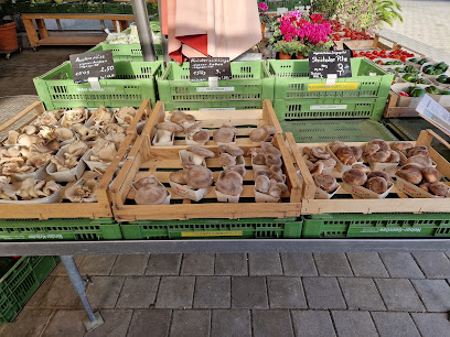 Landwirtschaftsbetrieb