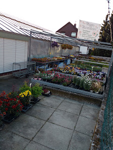 Plagges Blumenladen