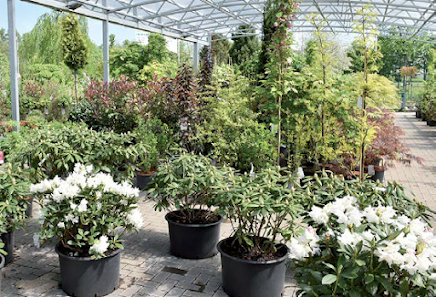 Gartencenter Bosse