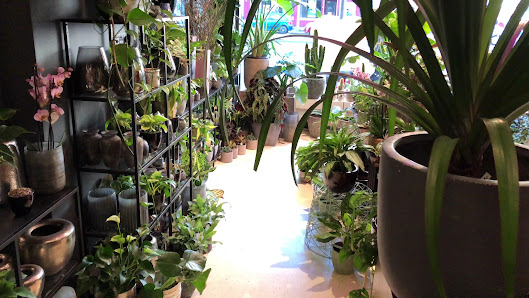 Kians Garden | Blumenladen Berlin