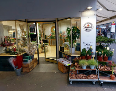 Blumen Baccara GmbH
