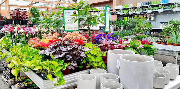 Gartenfachmarkt Richter - Inh. Andreas Richter