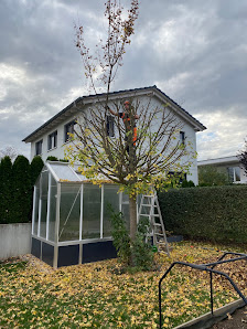 Baumpflege, Garten- und Landschaftsbau Ken Seifert