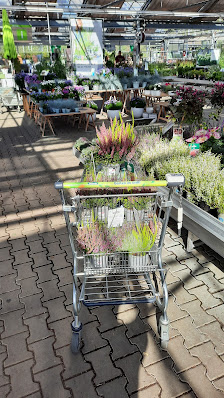 Dehner Garten-Center