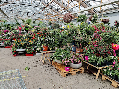Dehner Garten-Center