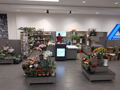 Holland Blumen Shops