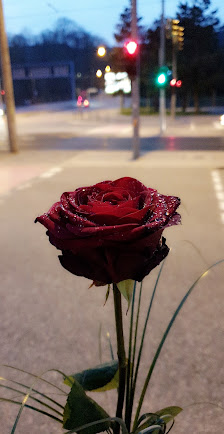 Chemnitzer Blumenring