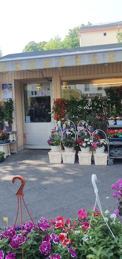 Blumen und Grünplanzen