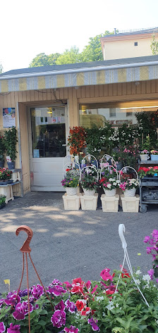 Blumen und Grünplanzen