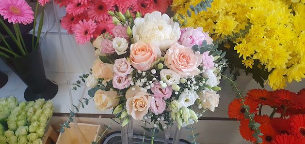 Blumen und Grünplanzen