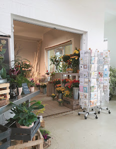 Richter's Gartenwelt