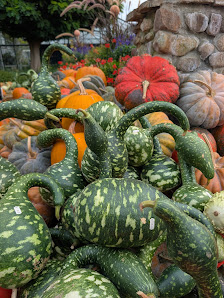 Gärtnerei Dieterichs - Blumenladen, Floristik, Pflanzen, Kräuter und Gemüse