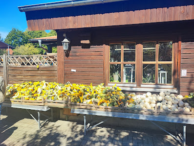 Gärtnerei Dieterichs - Blumenladen, Floristik, Pflanzen, Kräuter und Gemüse