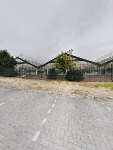 Blumenhof Wolfsburg Hattorf