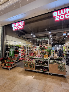 BLUME2000 Braunschweig