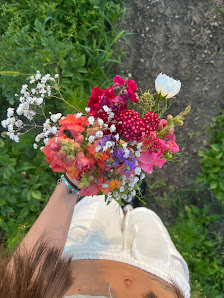 Blumen zum selber pflücken