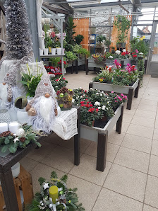 Gärtnerei Dürkop