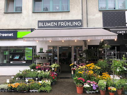 Blumen Frühling