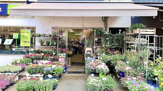 Blumen Frühling
