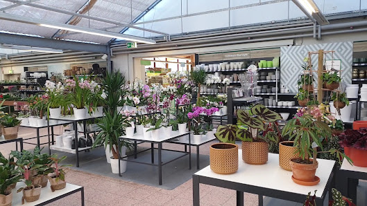 Dehner Garten-Center
