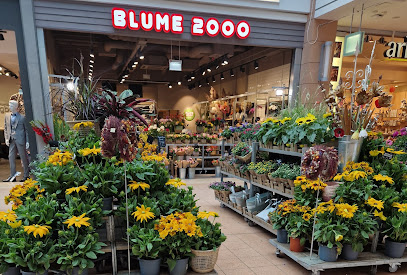 BLUME2000 Kiel Citti-Park