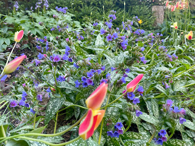 Vielfaltgarten naturnaher Gartenbau & Baumpflege Kiel