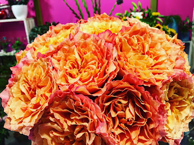 Carlotta Blumen ...und mehr
