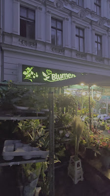 Blumen Görli