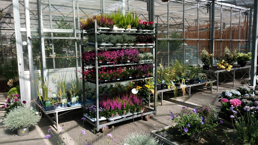 Gartenland Schwedeneck
