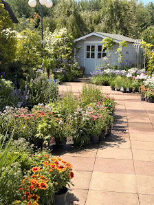 Pflanzen Peikert | Gartencenter - Gartengestaltung - Floristik - Blumen